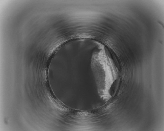 X0000100200351200806201427