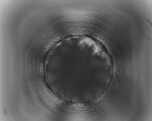 X0000100200353200806201427