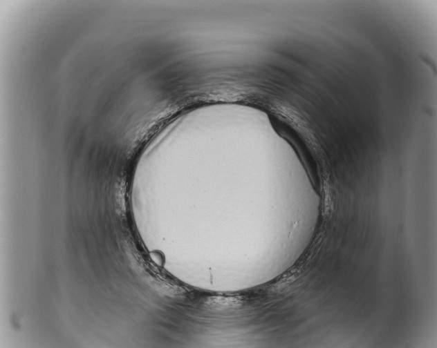 X0000100200354200806201427