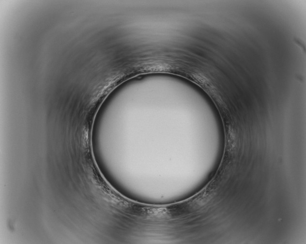 X0000100200355200806201427