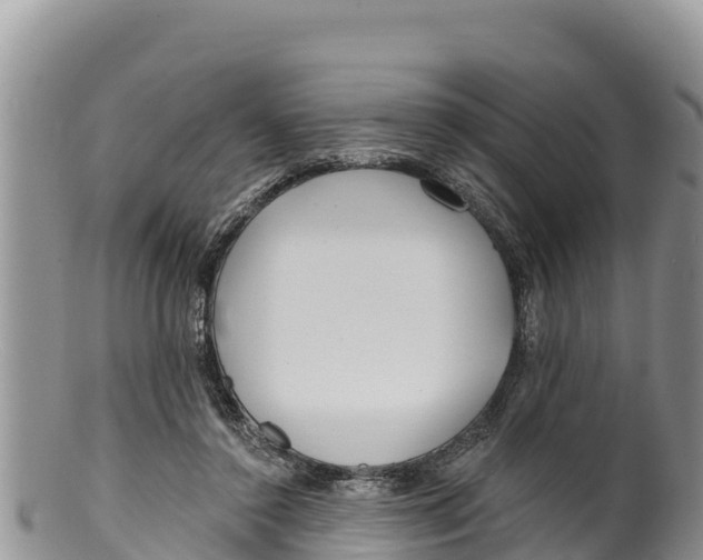 X0000100200356200806201427