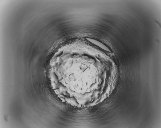 X0000100200357200806201427