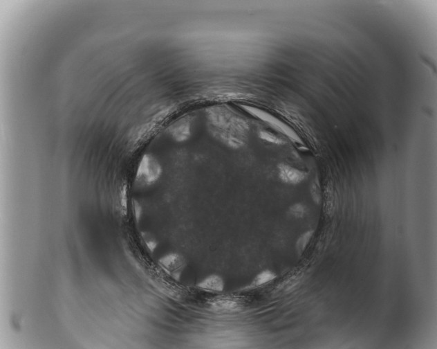 X0000100200358200806201427