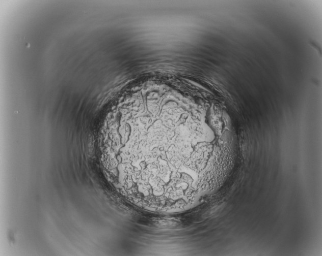 X0000100200359200806201427