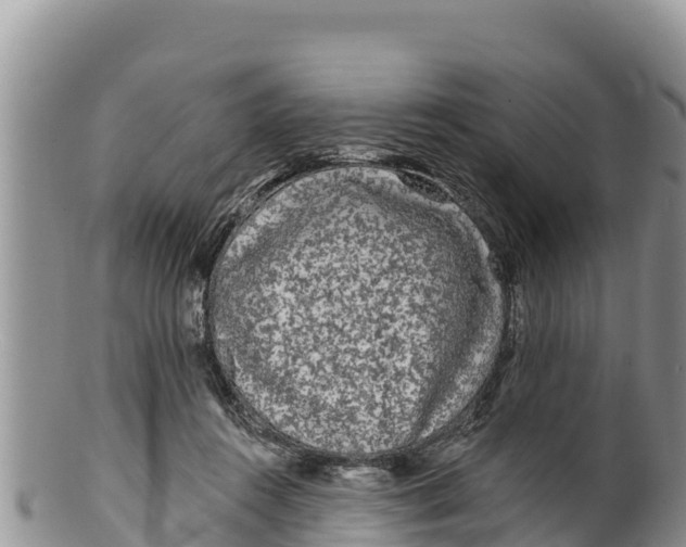 X0000100200360200806201427