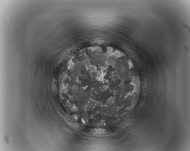 X0000100200361200806201427