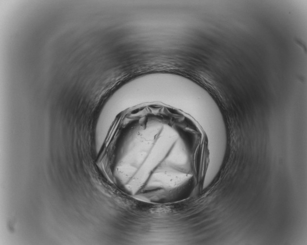 X0000100200362200806201427