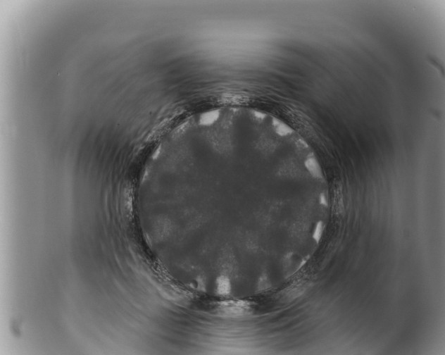 X0000100200363200806201427