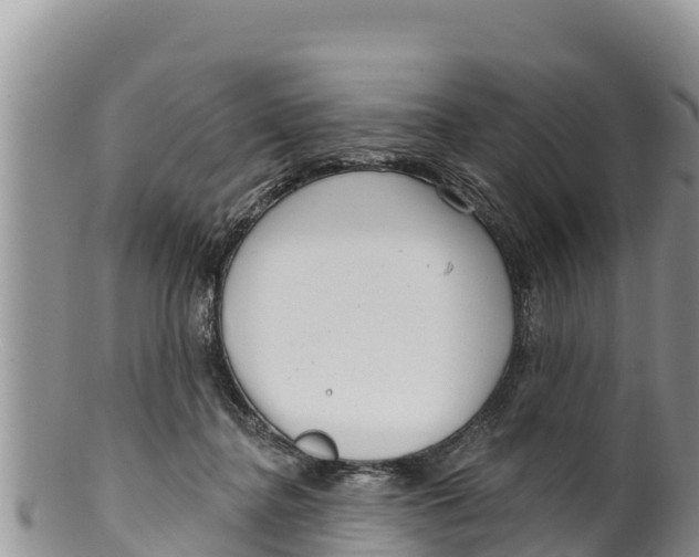 X0000100200364200806201427