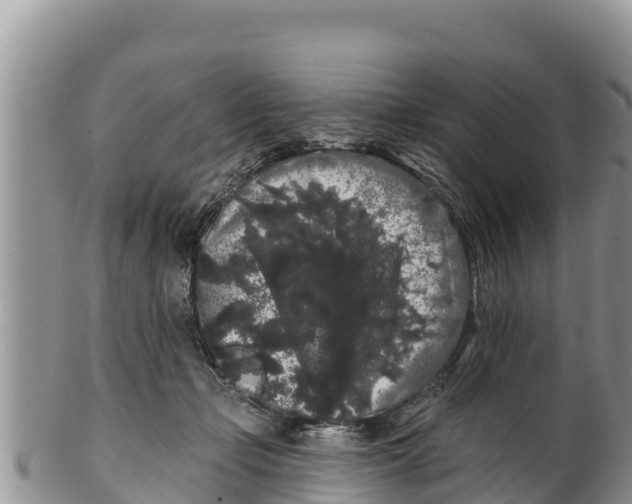 X0000100200365200806201427