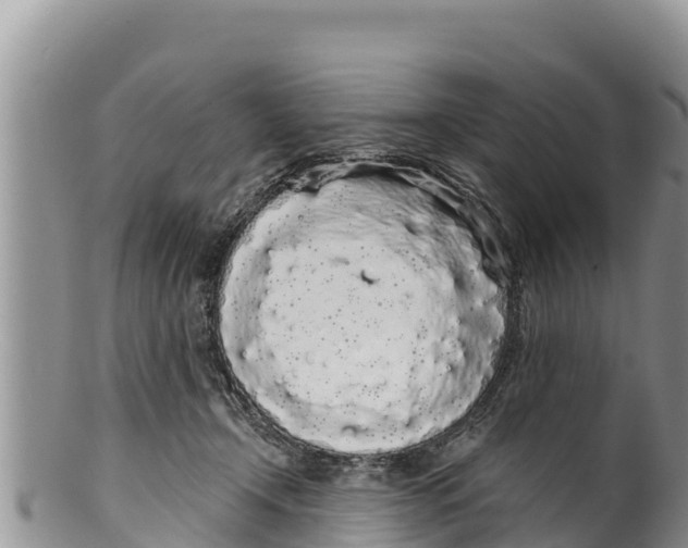 X0000100200366200806201427