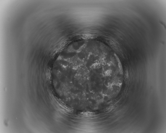 X0000100200367200806201427