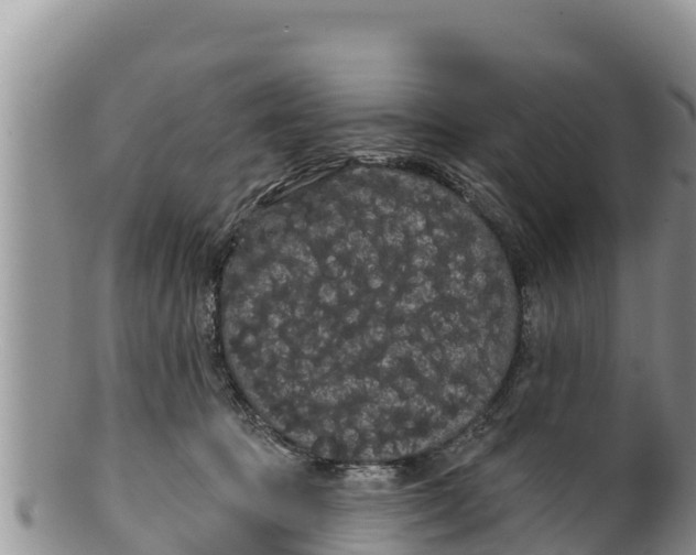 X0000100200369200806201427