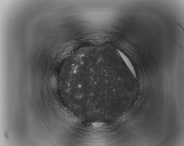 X0000100200371200806201427