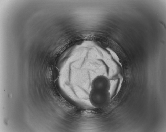 X0000100200372200806201427