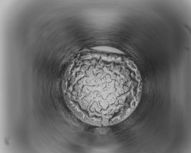 X0000100200373200806201427