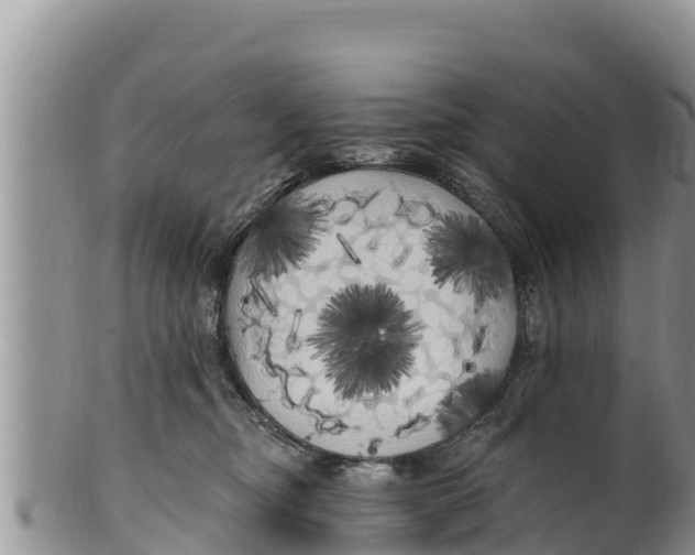 X0000100200374200806201427