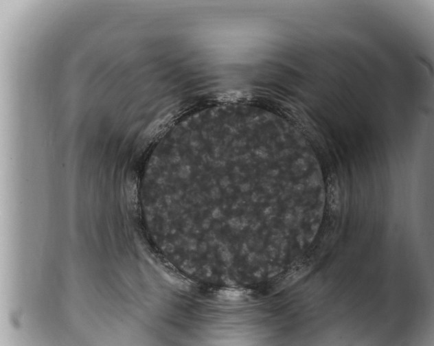 X0000100200375200806201427