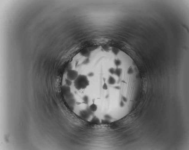 X0000100200378200806201427