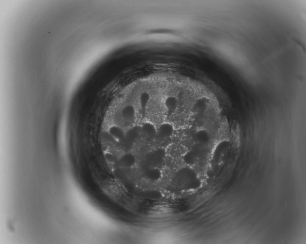 X0000100200381200806201427