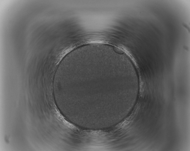 X0000100200385200806201426