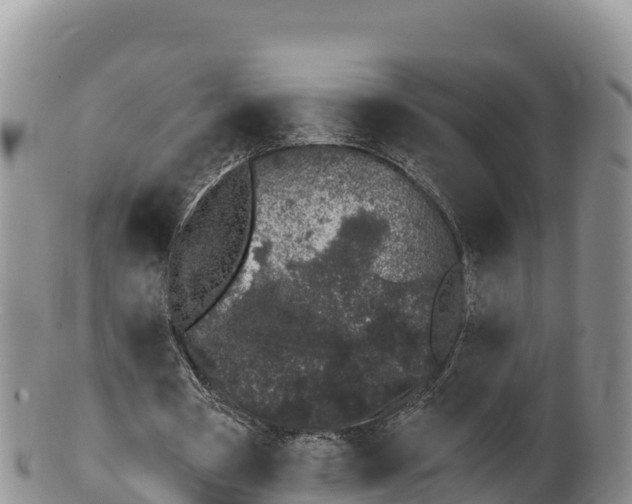 X0000100200386200806201426