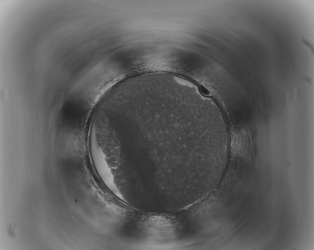 X0000100200390200806201426