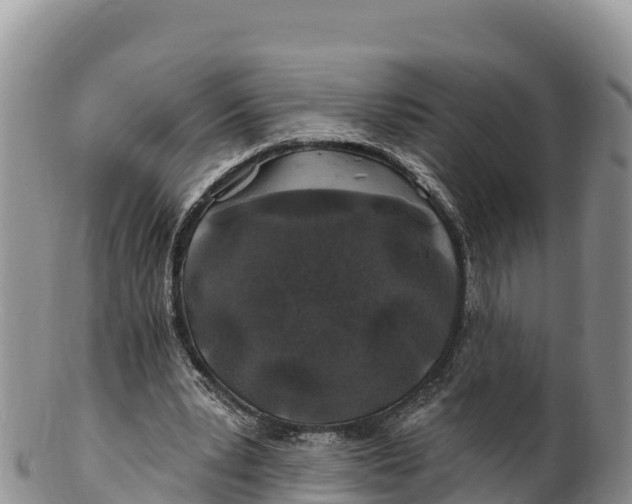 X0000100200391200806201426