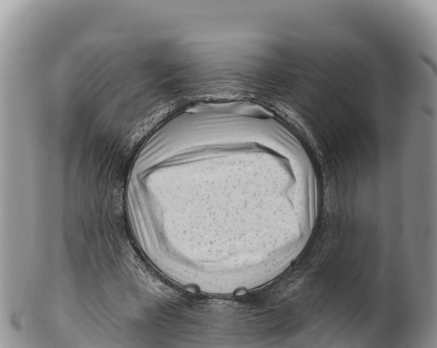 X0000100200393200806201426