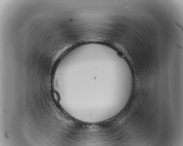 X0000100200395200806201426