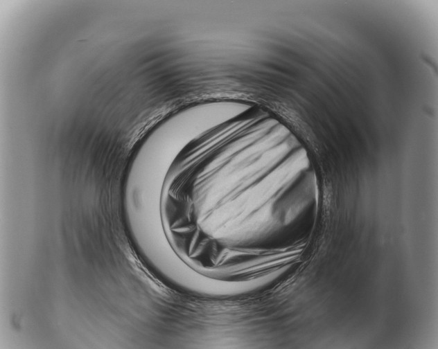 X0000100200397200806201426