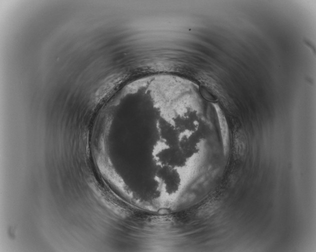 X0000100200398200806201426