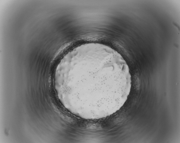 X0000100200400200806201426