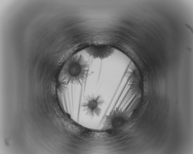 X0000100200401200806201426