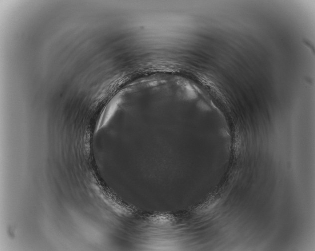 X0000100200402200806201426