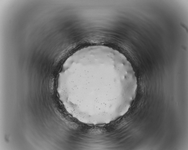 X0000100200404200806201426