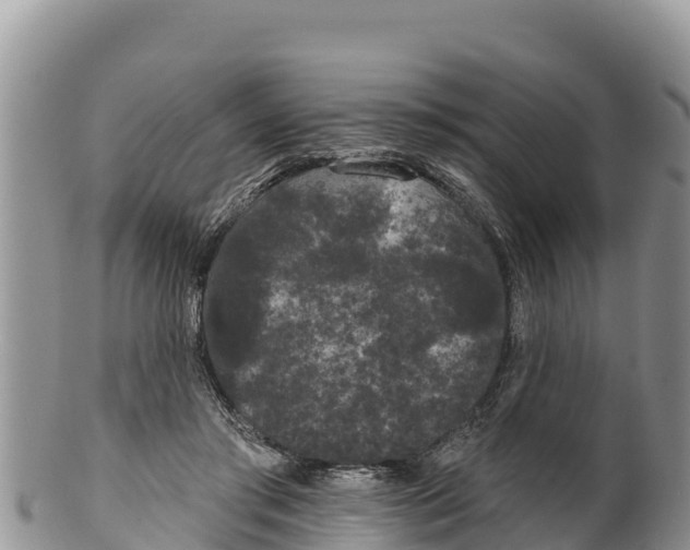 X0000100200405200806201426