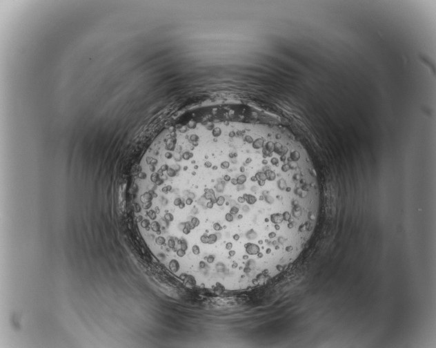 X0000100200406200806201426