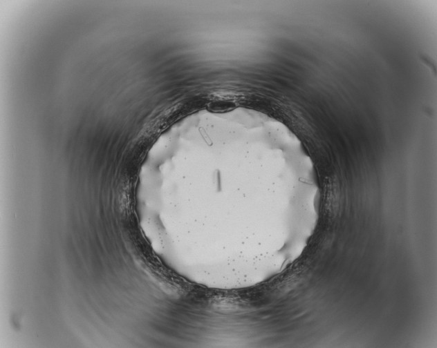 X0000100200408200806201426