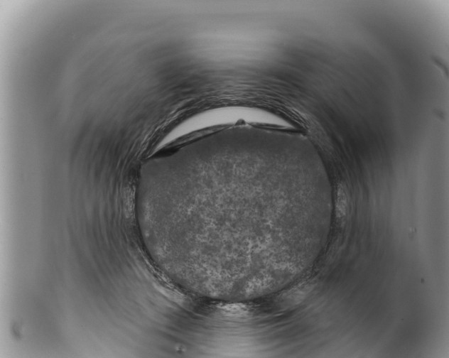 X0000100200409200806201426