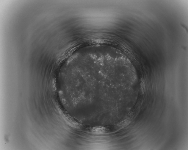 X0000100200410200806201426