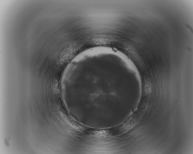 X0000100200411200806201426