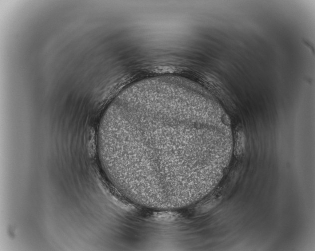 X0000100200414200806201426