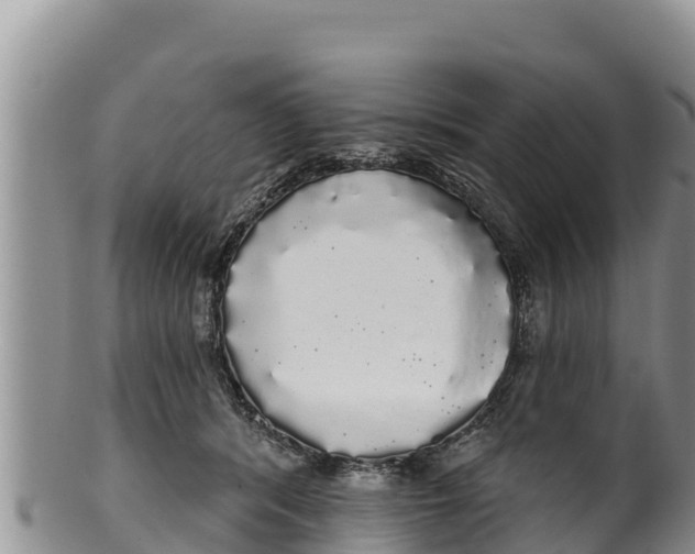 X0000100200416200806201426