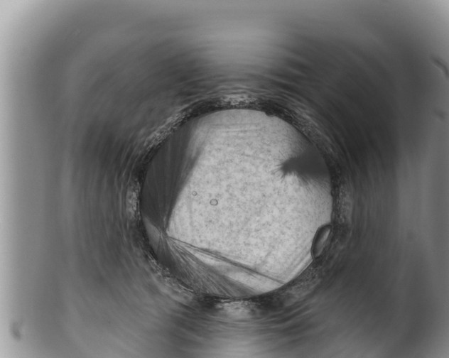 X0000100200417200806201426