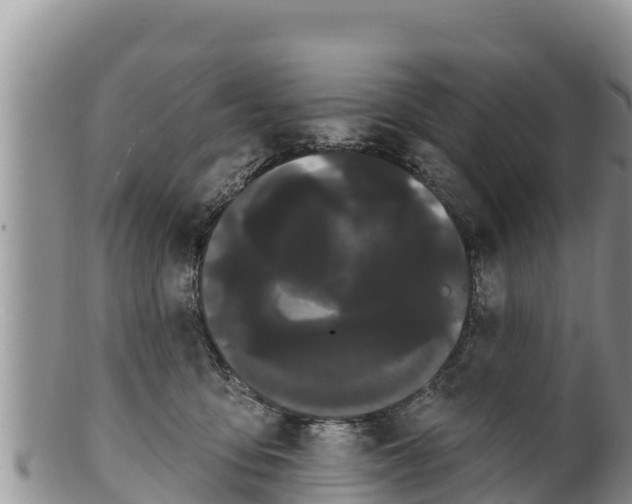 X0000100200419200806201426