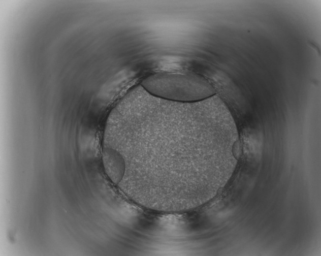 X0000100200422200806201425