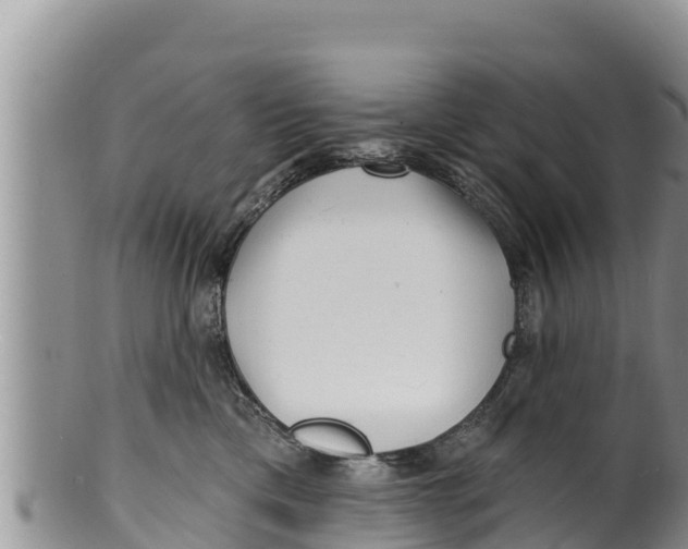 X0000100200425200806201425