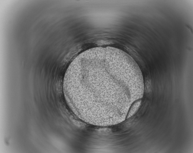 X0000100200426200806201425