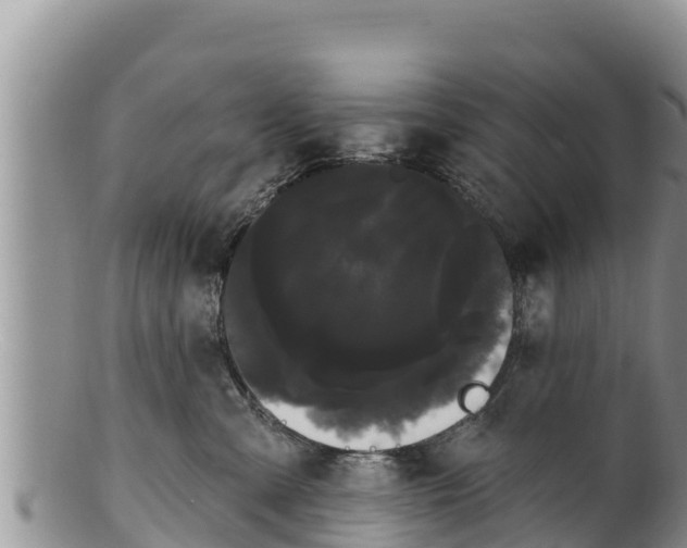 X0000100200427200806201425